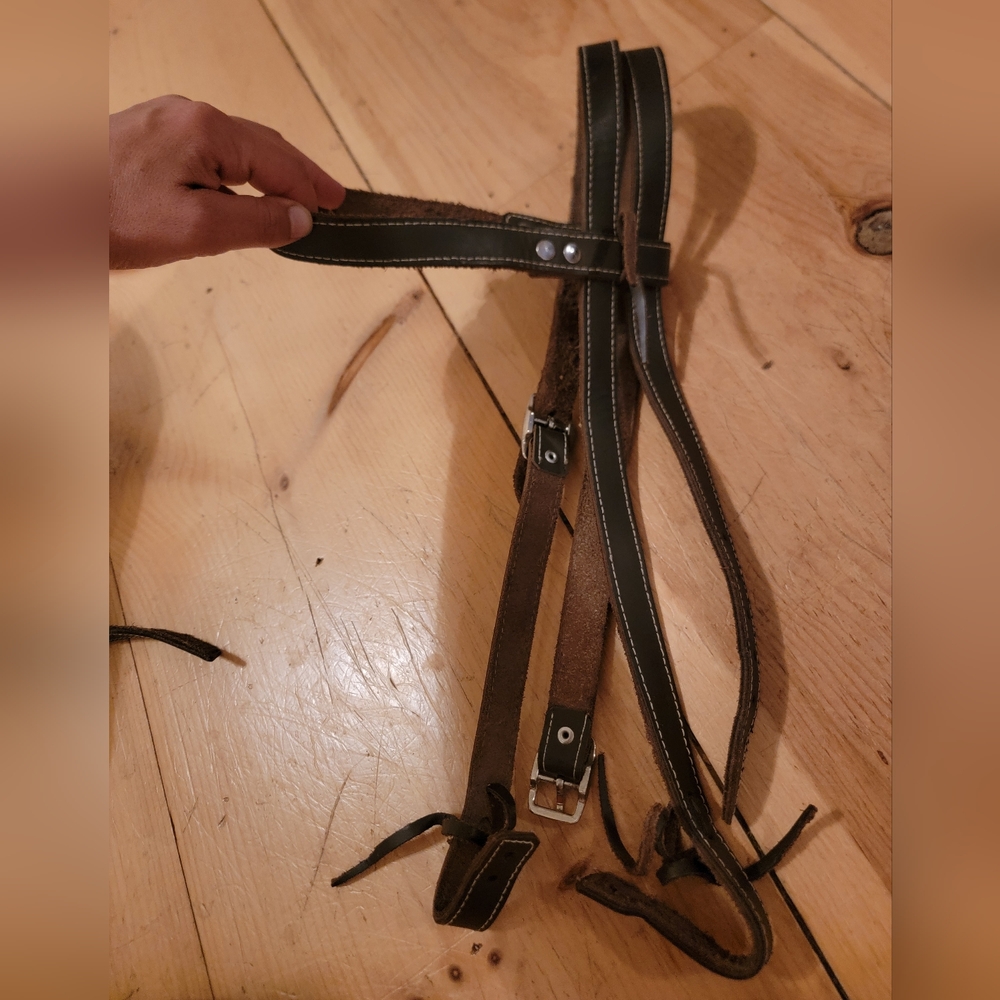 New! Headstall and Split Reins